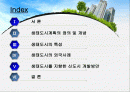 (환경경제학) 생태도시를 만들기 위한 방안 2페이지