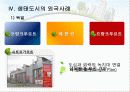 (환경경제학) 생태도시를 만들기 위한 방안 13페이지