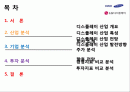 (기업분석) 삼성SDI와 LG디스플레이 2페이지