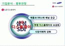 (기업분석) 삼성SDI와 LG디스플레이 10페이지