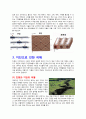 지진과 지진피해의 방지 및 경감대책 5페이지