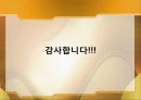 무상급식 정책평가 토론 무상급식 서울시 주민투표 (무상급식 정책 사회정책 사회학 사회 정치 정치외교 복지정책 복지 사회복지 토론 정책평가 평가 투표 투표권 사례) 32페이지