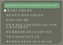 핵무기와_전쟁억지 (정치 정치학 사회 전쟁 핵 이란 북한 전쟁 분단 남한 군사 군사력 국가) 24페이지