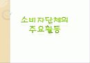 [소비자 운동]의 개념, 의의, 대상 및 유형, 운동 전개, 문제점과 해결 방안 10페이지