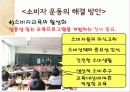 [소비자 운동]의 개념, 의의, 대상 및 유형, 운동 전개, 문제점과 해결 방안 42페이지