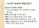[소비자 운동]의 개념, 의의, 대상 및 유형, 운동 전개, 문제점과 해결 방안 43페이지