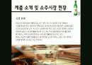 주류 유통시장에서의 처음처럼의 성공요인과 개선 및 전략방안 7페이지