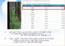 매일유업, 퓨어의 SWOT & STP 분석, 촉진전략 및 4P 27페이지