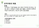 인적자원관리 ppt자료 6페이지
