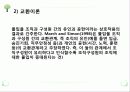 인적자원관리 ppt자료 46페이지