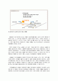(A+자료) 정성식품의 마케팅, 성공사례, 마케팅전략, 성공전략, 경영전략분석, 기업소개 및 환경분석, 경쟁자분석과 성공요인 및 마케팅전략, STP, 4P 조사분석 6페이지