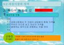 독점경쟁 12페이지