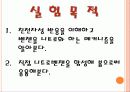 니트로벤젠_합성 , Synthesis of Nitrobenzene  3페이지