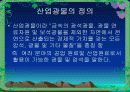 산업에 응용되는 광물의 종류 및 특징 3페이지