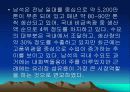 산업에 응용되는 광물의 종류 및 특징 13페이지