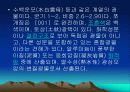 산업에 응용되는 광물의 종류 및 특징 22페이지