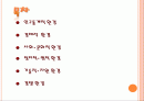 마케팅환경구조와분석 2페이지