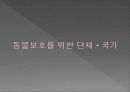 채식주의 13페이지