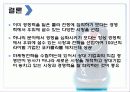 펩시마케팅 16페이지