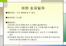 유아기 인지발달 11페이지
