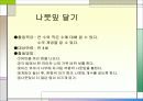 유아기 인지발달 12페이지