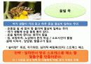 소주,맥주 17페이지
