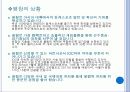 평창_동계_올림픽_유치_마케팅_기획서_ 3페이지
