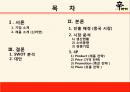 신라면_최종 2페이지