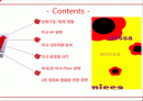 미샤 2페이지