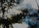 (주)남이섬 8페이지
