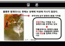 우리사회의소수자 9페이지
