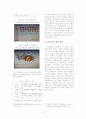 이모티콘 4페이지