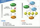의류산업의 유통구조 22페이지