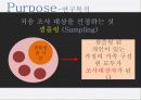 마케팅 3페이지
