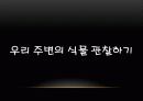 식물 5페이지