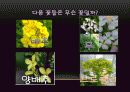 식물 8페이지