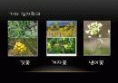 식물 16페이지