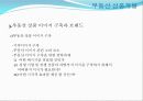 부동산_상품개발과_마케팅믹스 6페이지