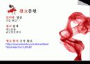 LTE를 아시나요? 21페이지