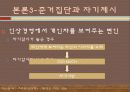 펫 산업 19페이지