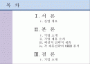 전략적 제휴 사례 분석 -현대자동차를 중심으로 2페이지