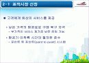 사우스 웨스트 항공사 사례연구 14페이지