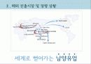국제마케팅 성공사례- 남양유업 6페이지
