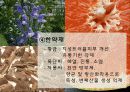 honey_skin 14페이지