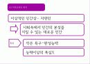 루소의(ROUSSEAU) 유아교육 사상 28페이지