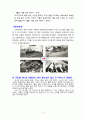 박카스 12페이지