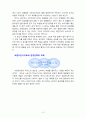 박카스 15페이지