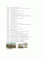 신라면 4페이지