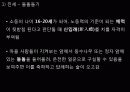 민속문화읽기 5페이지