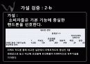 핸드폰마케팅조사 18페이지